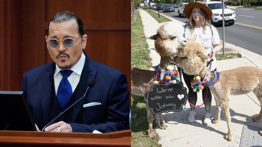 What'S With Johnny Depp And Alpacas
