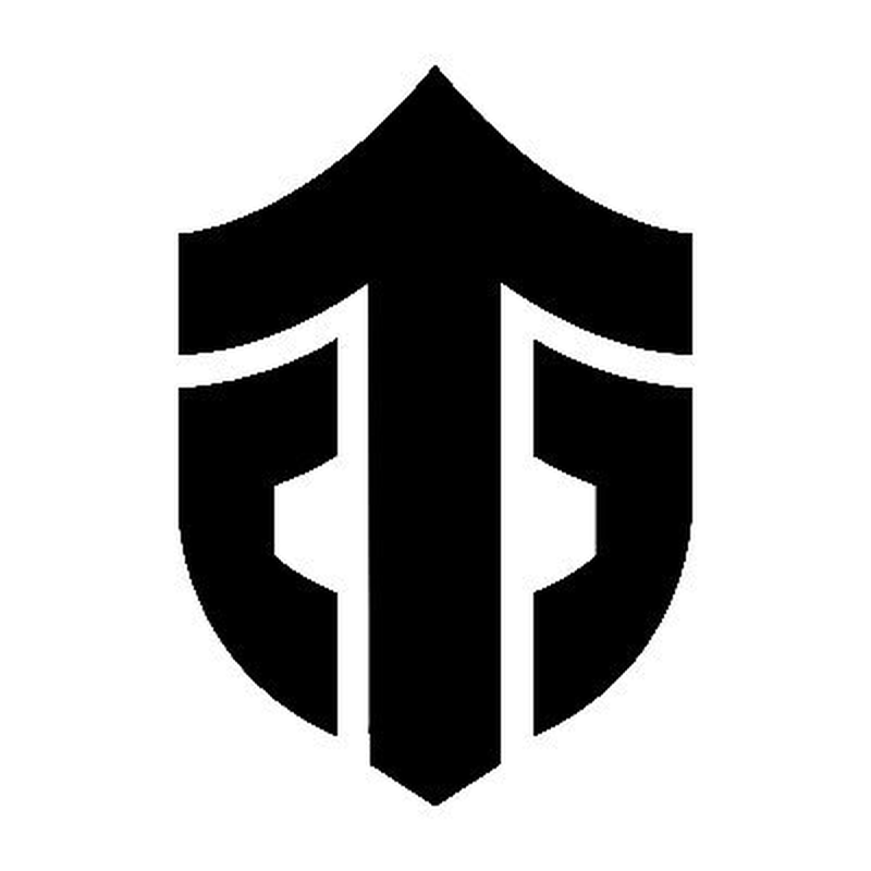 Entity 2. Entity дота 2. энтити команда дота 2. entity dota 2 лого. картинки лого entity.