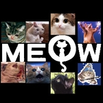 meow 111
