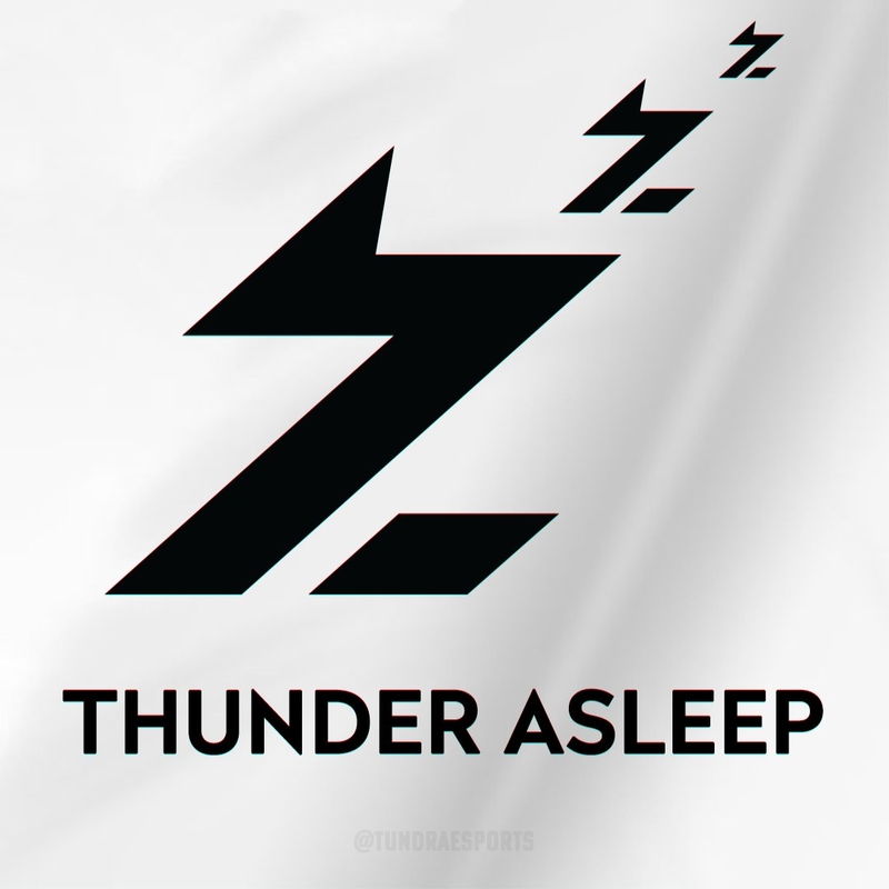 Tundra team прогноз. Эмблема гром. thunderobot эмблема. tundra esports. team spirit логотип.