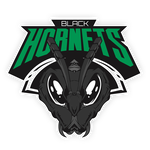 Black Hornets Gaming