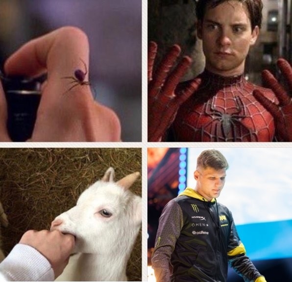 1d2ede47d79f1257cc4762a7c517fd1f.jpg?m=d