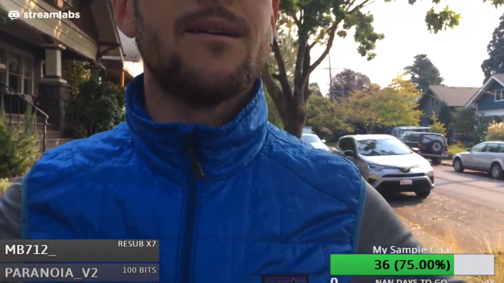Na Irl Strimera Napali Vo Vremya Translyacii Na Twitch Novosti Cybersport Ru