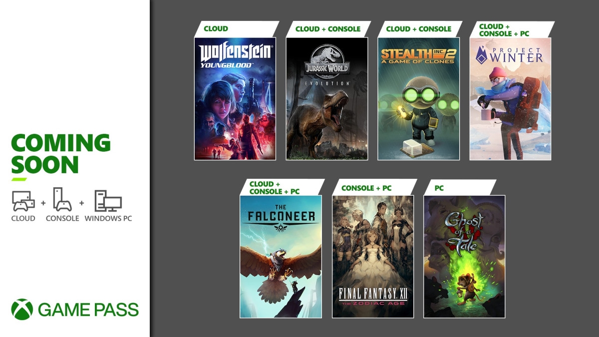 the falconeer gamepass