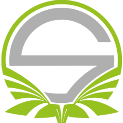 Team Singularity